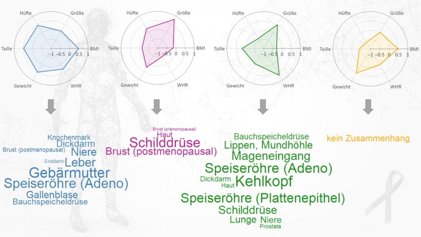 Neu abgeleitete Körperformen aus den sechs anthropometrischen Merkmalen...