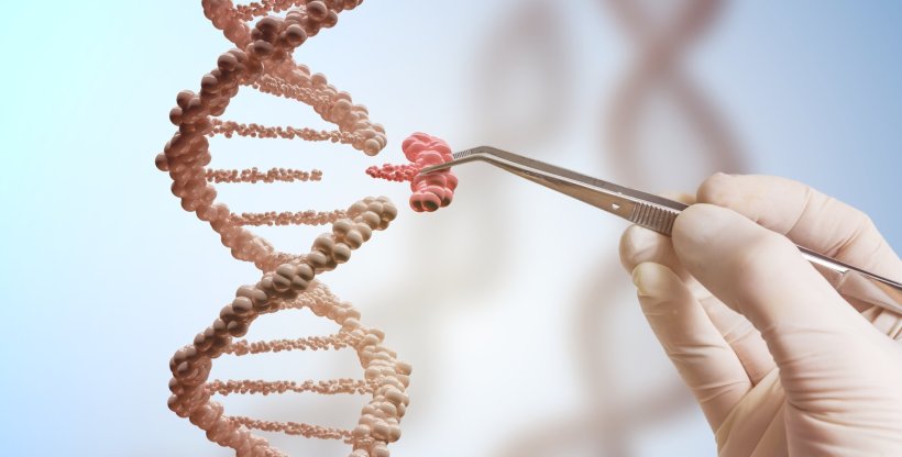 Increasing safety for gene scissors CRISPR-Cas9