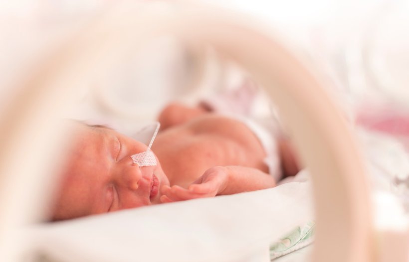 premature baby in ICU incubator