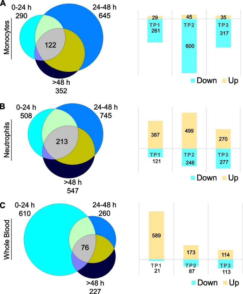 Differential expression across time points.