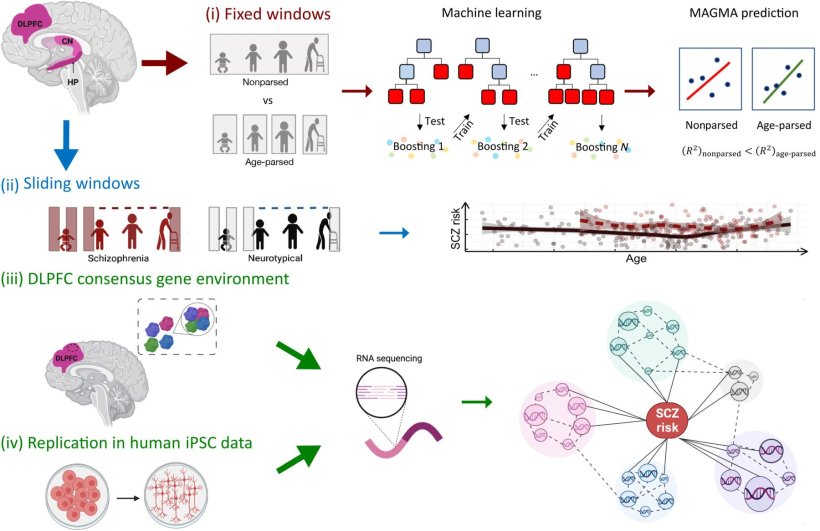 Graphic summary of the study design. The figure was created with BioRender.com...