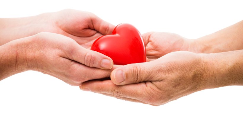 hands holding stylized human heart as symbol for organ donation