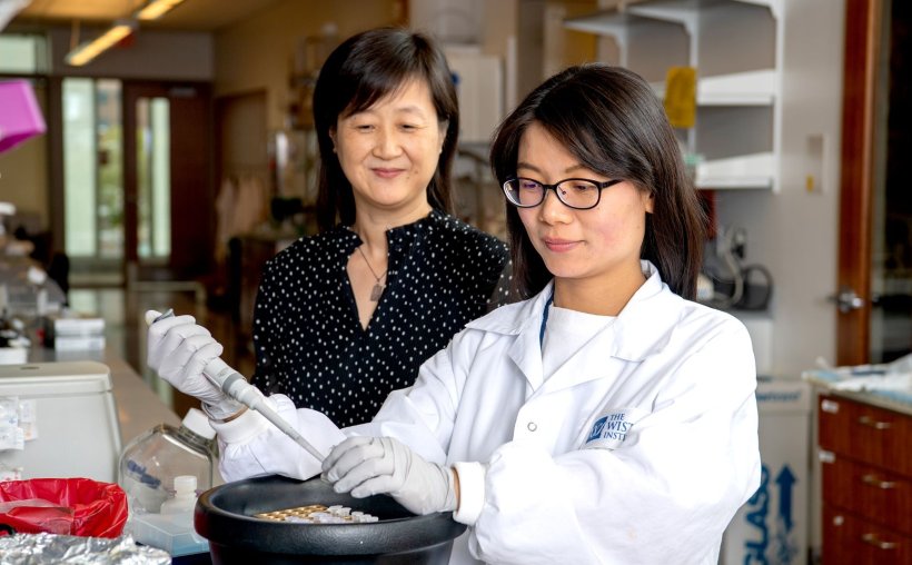 Dr. Quing Chen (left) and her team work to unlock more secrets behind cancer...