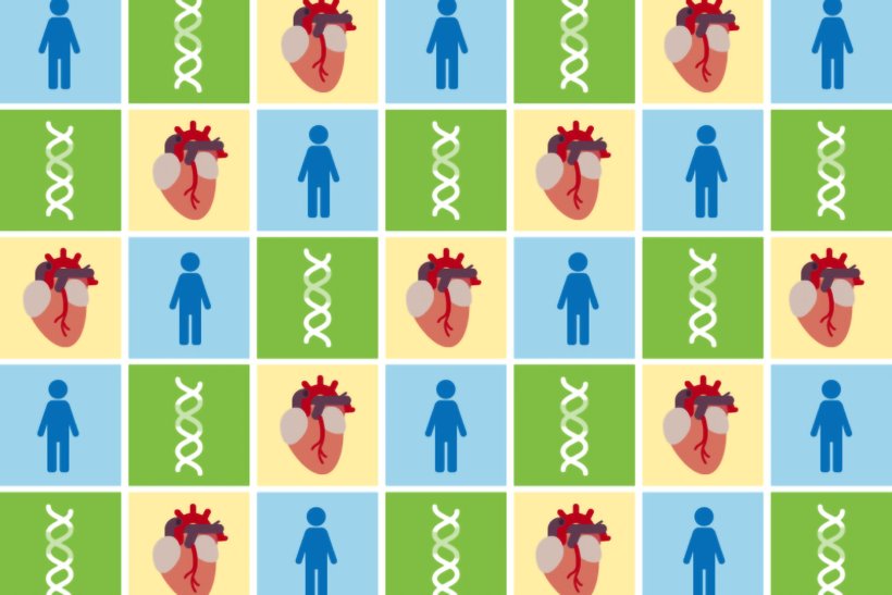 Dataset diversity improves heart disease risk prediction