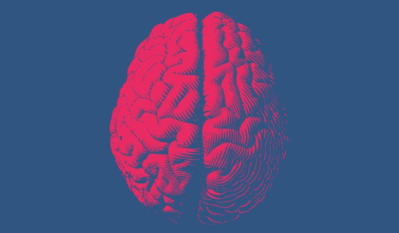 stylized image of red human brain on blue background