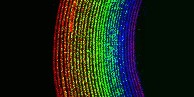 rainbow particles on black background