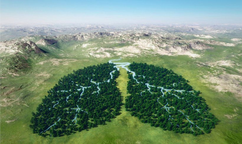 landscape with forest shaped like human lungs