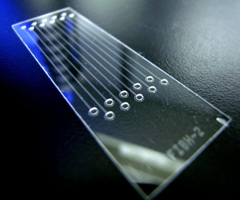 Lab-on-a-chip systems in 2023: The micro-lab revolution