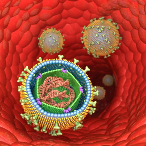 illustration of epstein-barr-virus