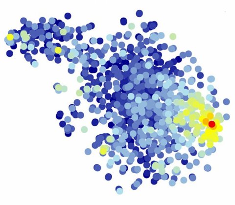 blue and yellow dots representing microglia activity in the brain