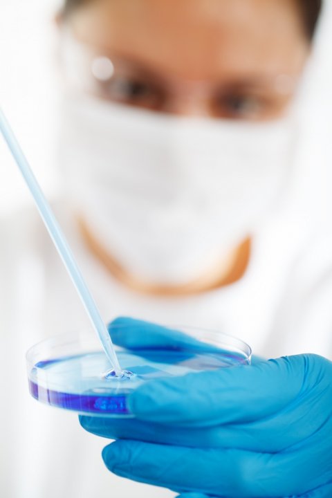 out of focus person looking at petri dish with blue content