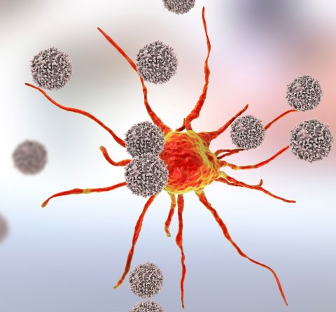 T-lymphocytes attacking cancer cell, 3D illustration. Anticancer immunity and treatment concept