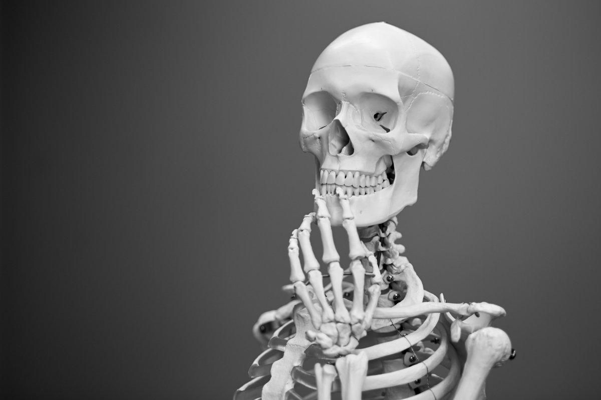 Will Increased Protein Intake Save Your Bones Not Likely