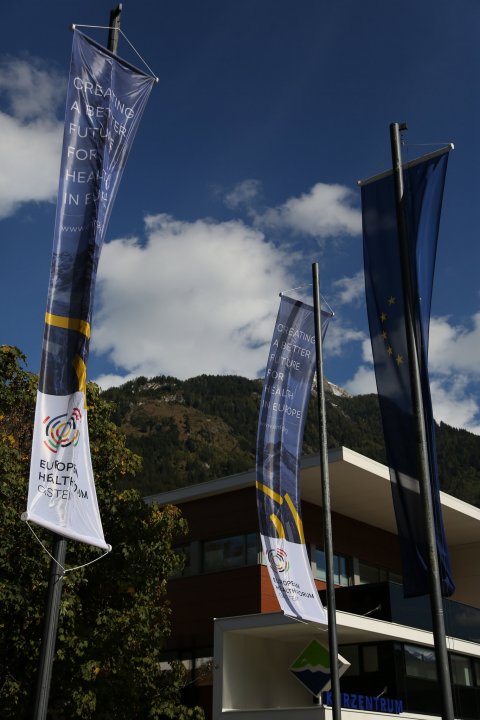 flags with EHFG logo
