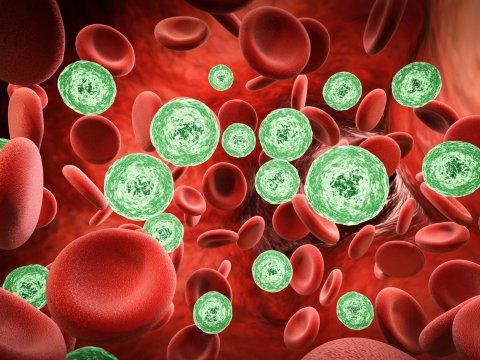 3d rendering of red blood cells with infection