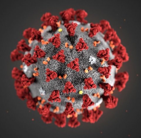 illustration of coronavirus