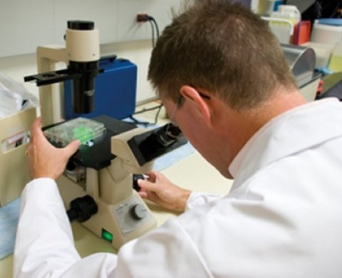 scientist working with a miscoscope