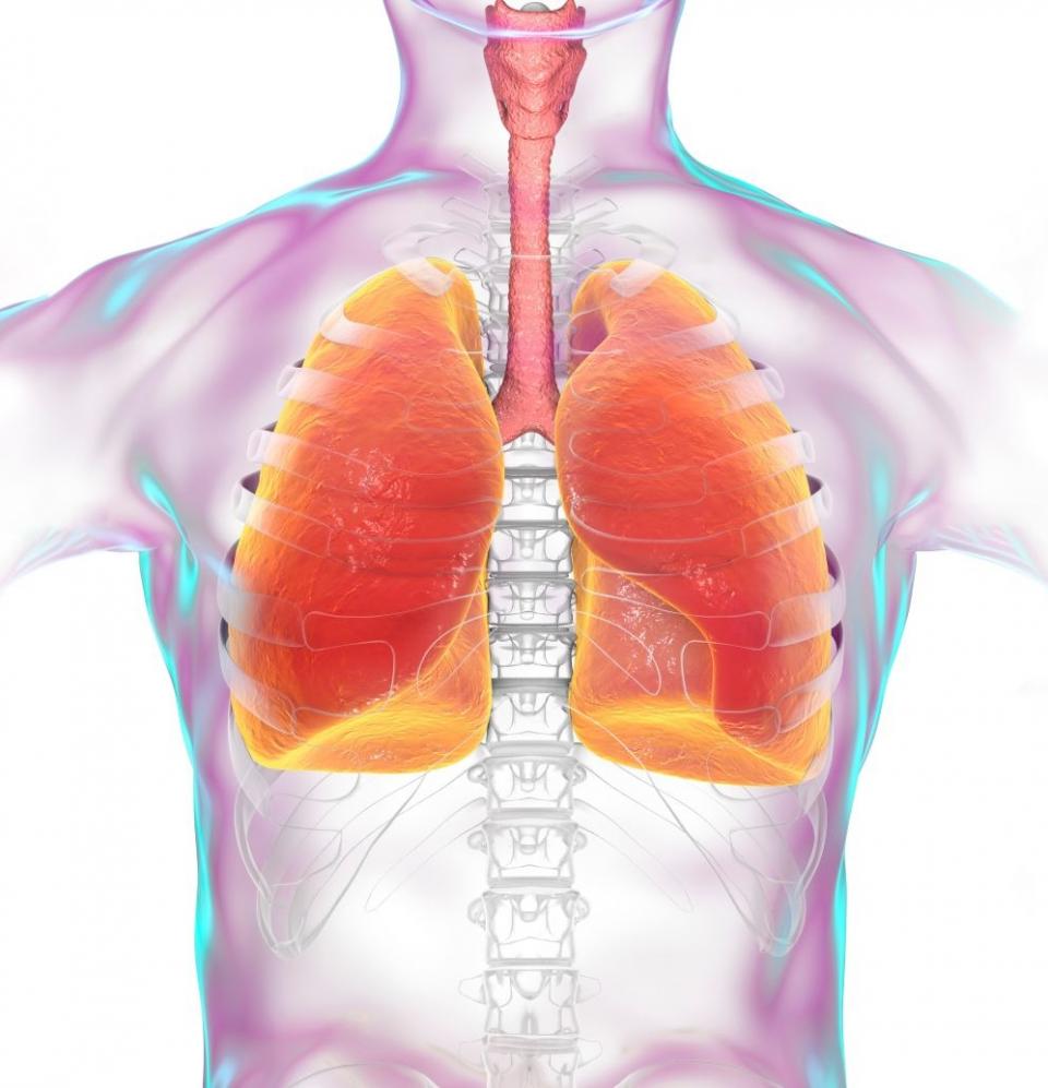 Deaths and disability due to lung diseases on the rise • healthcarein