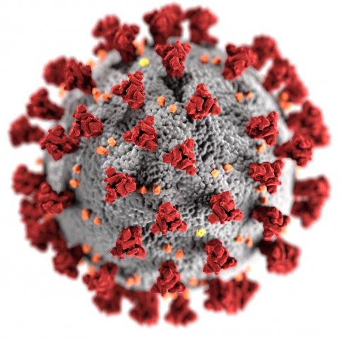 coronavirus SARS-CoV-2 illustration