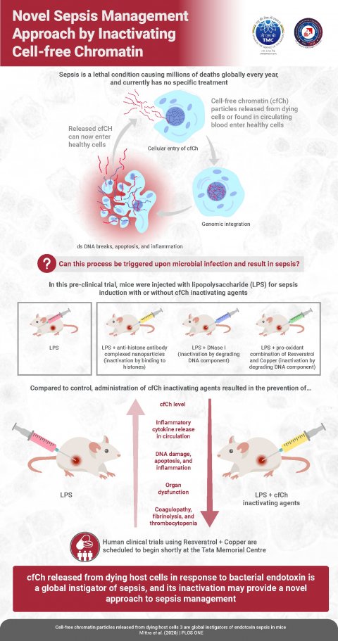 Sepsis treatment: Destroying DNA to save the genome