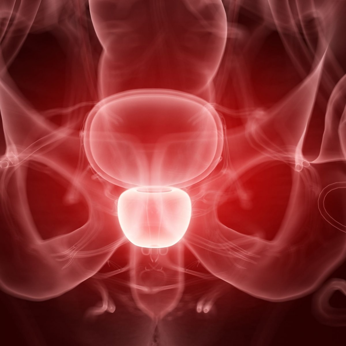 Examen ecografic al prostatei transrectal