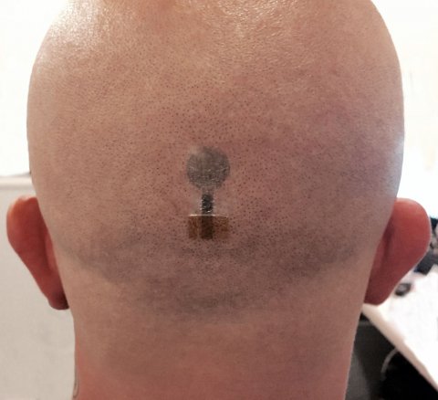 back of a bald head with ecg tattoo