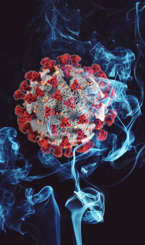 coronavirus in cigarette smoke