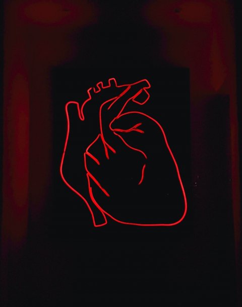 red neon sign in shape of a human heart