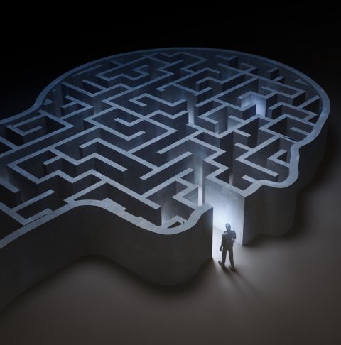 man entering head-shaped labyrinth