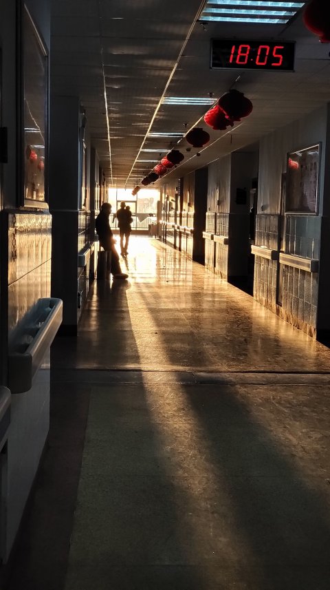 hospital ward in afternoon light