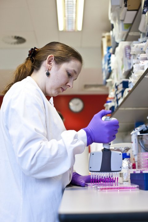 female employee working in a medical laboratory