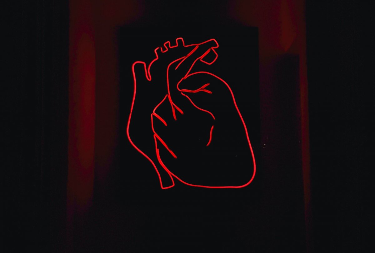 AI Combines ECG And X ray To Diagnose Arrhythmic Disorders Healthcare AI Combines ECG And X ray To Diagnose Arrhythmic Disorders Healthcare