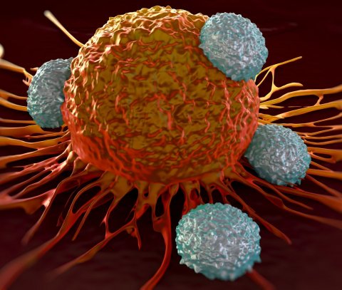 t-cells attacking cancer cell