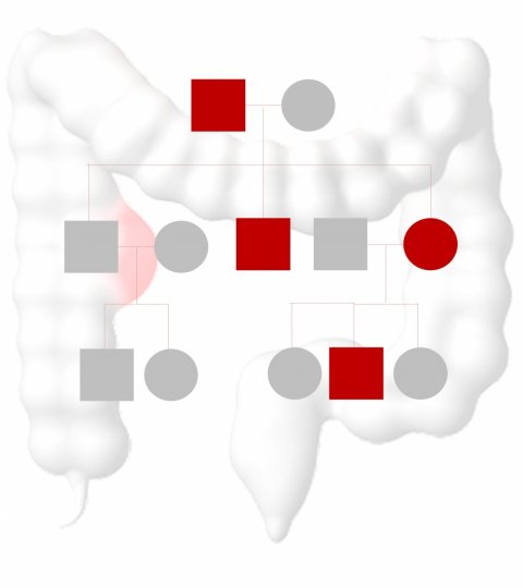 illustration of hereditary colon cancer