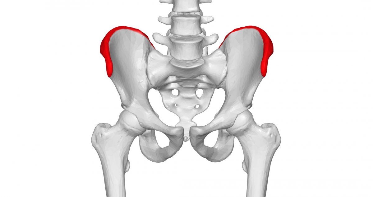 Iliac crest reconstruction: 15 patients recruited into GreenBRIC