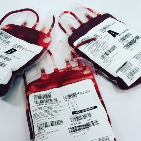 blood transfusion bags