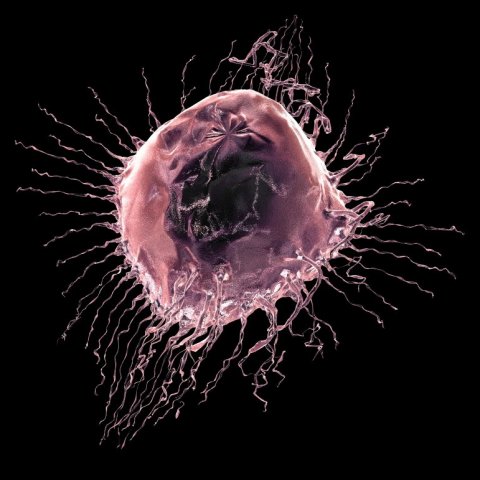 breast cancer cell illustration