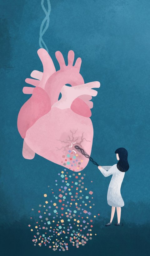 heart pinata illustration