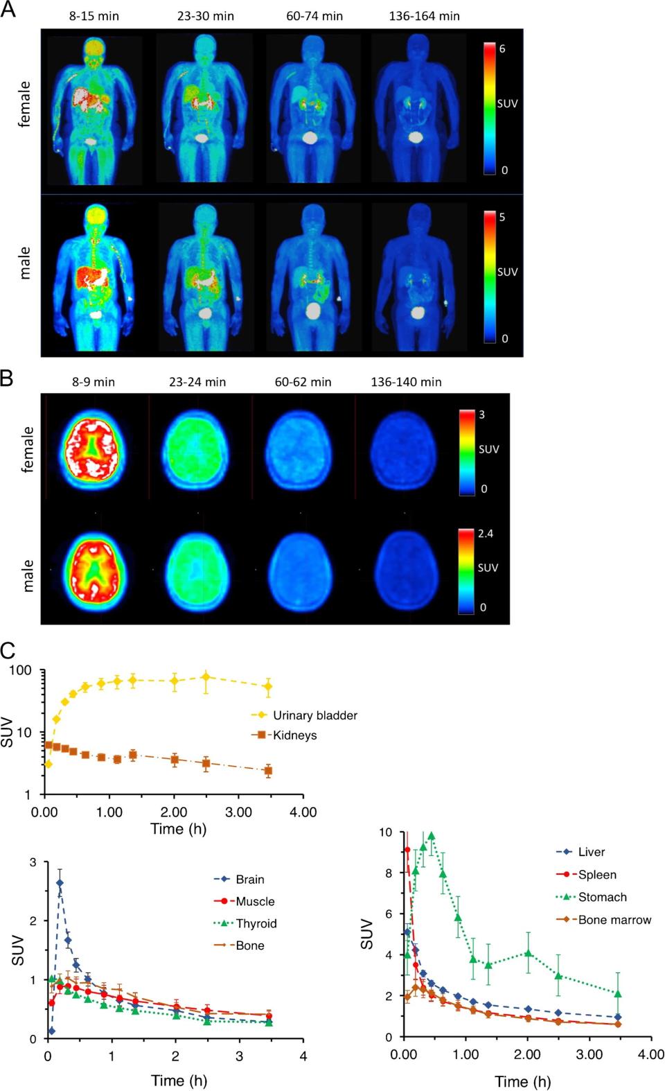 promising-new-radiotracer-for-demyelination-healthcare-in-europe