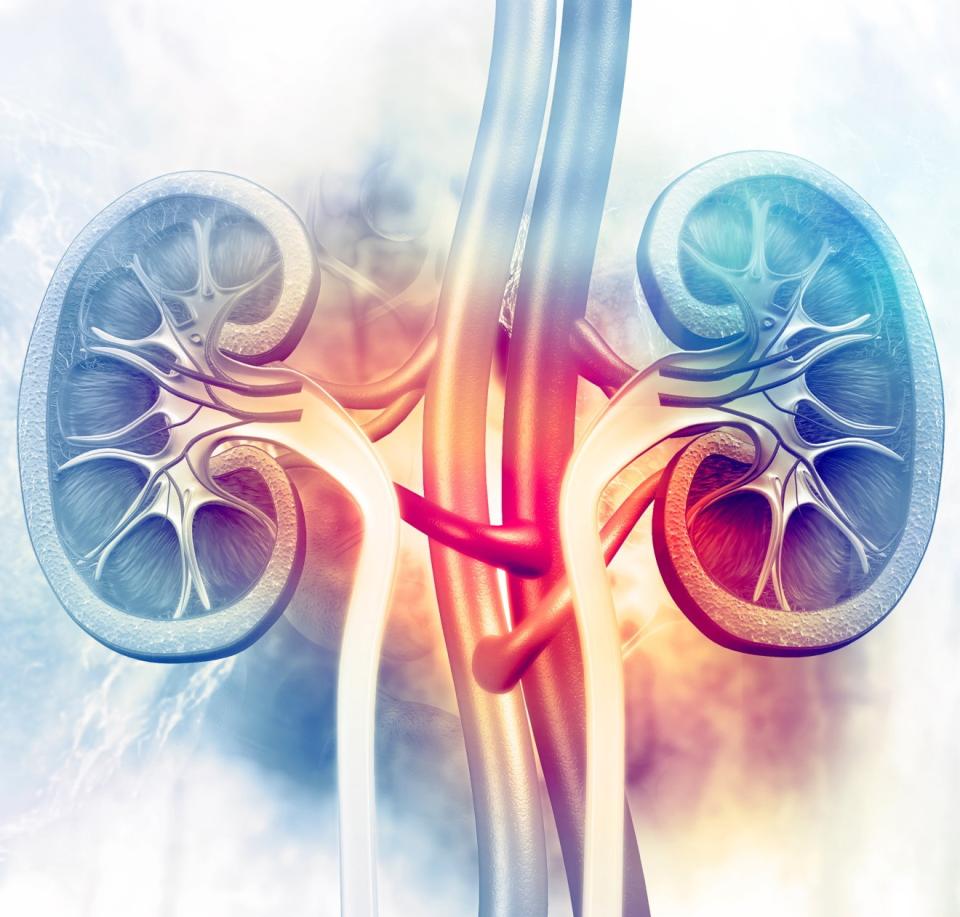 first-successful-regeneration-of-diseased-kidney-healthcare-in-europe