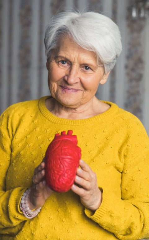 elderly woman in yellow shirt holding model of human heart in her hands