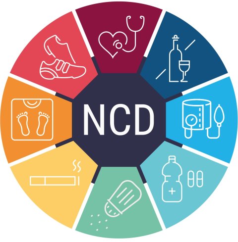 A colourful round infographic depicting risk factors for non-communicable disease (NCD) in symbols