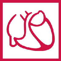 Logo Deutsche Gesellschaft für Kardiologie – Herz- und Kreislaufforschung e.V