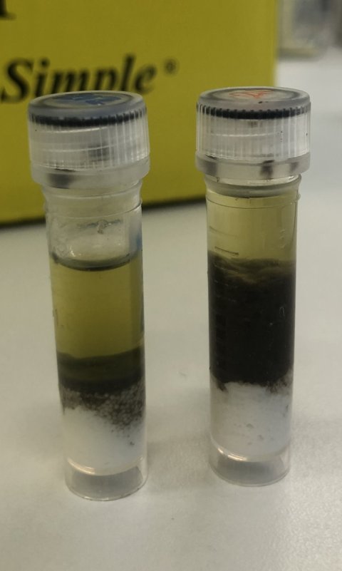 Two plastic tubes filled with wastewater samples in a laboratory