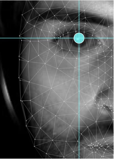 Left half of a man's face, with polygons and circular marks to indicate AI scanning