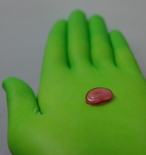 A 3d printed spinal disc on a hand in a green rubber glove