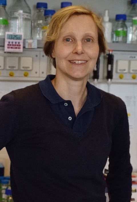 Portraitfoto von Prof. Dr. Daniela Wenzel