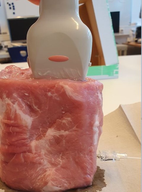 Eine Ultraschall-Sonde wird auf einem Stück Schweinenacken aufgesetzt, an dem seitlich ein Plastikschlauch angebracht ist