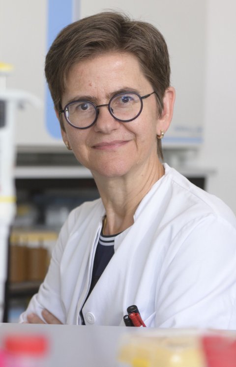 Portraitfoto von Prof. Dr. Martina Sester