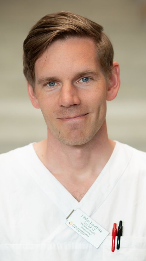 Portrait photo of Niklas Landberg